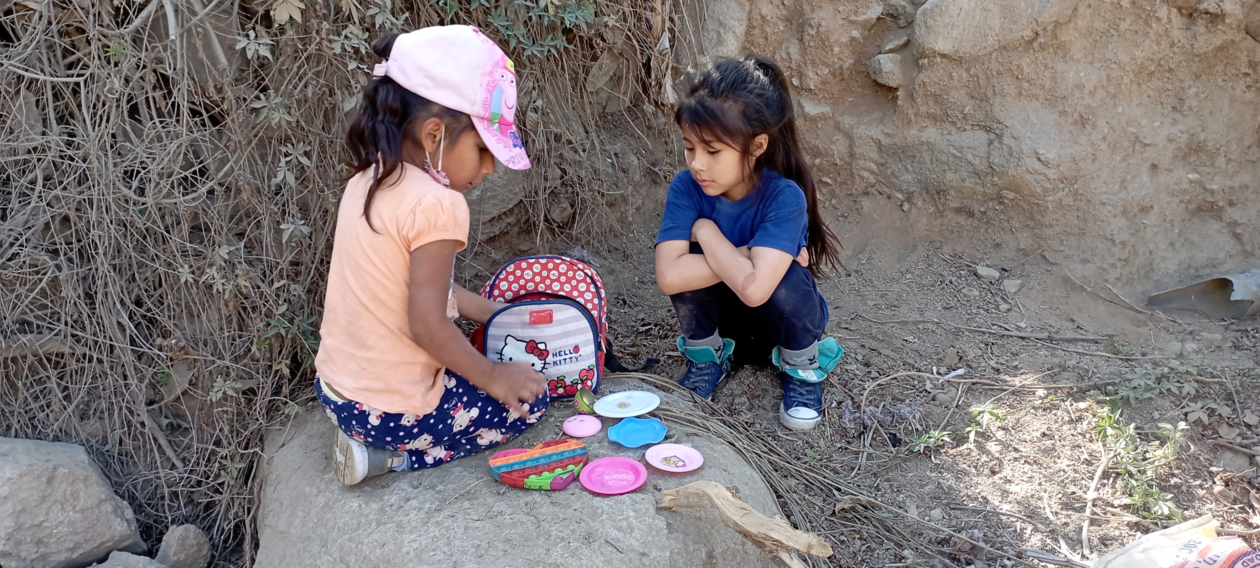 Reducción enfermedades