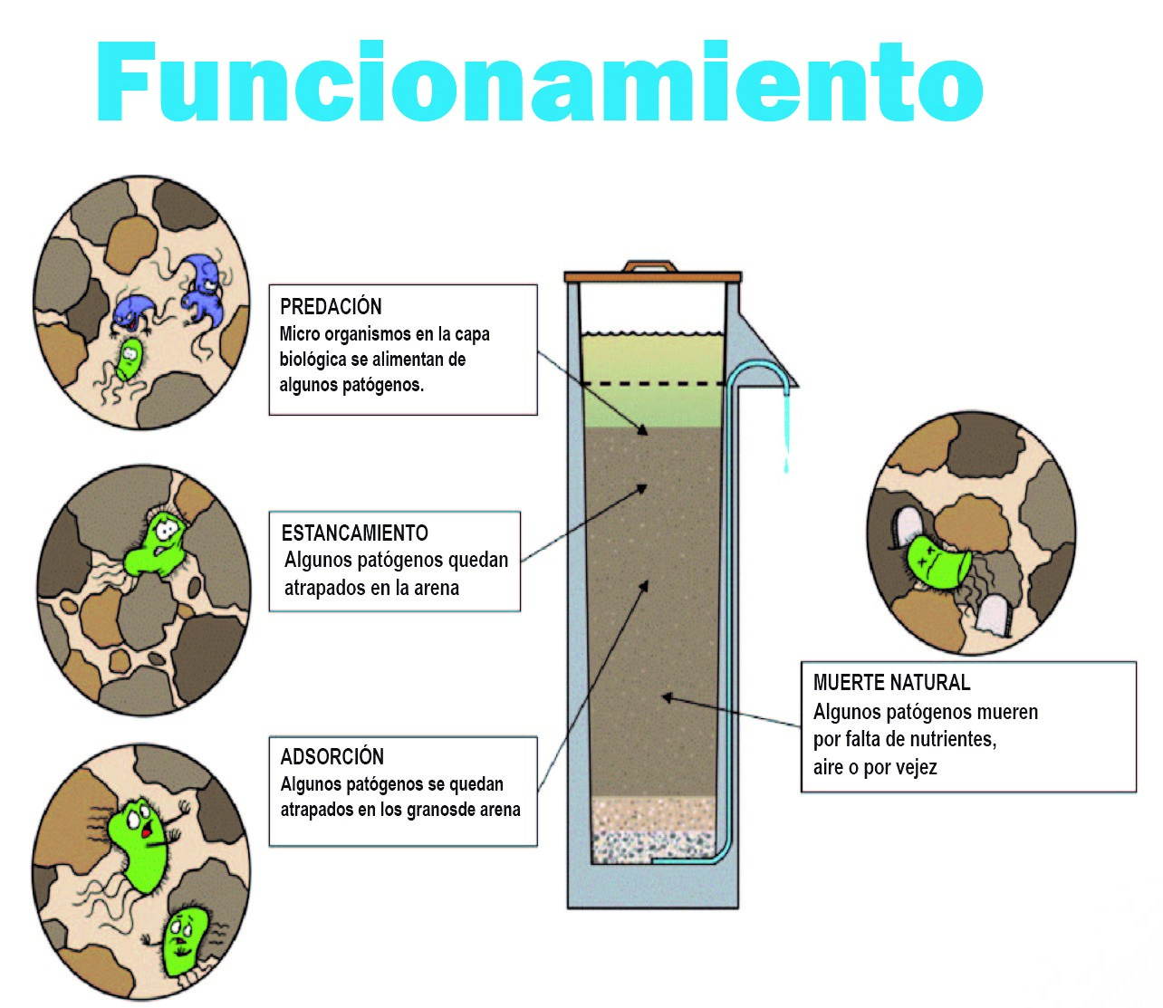 Funcionamiento del filtro bioarena